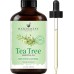 Handcraft Blends Tea Tree Essential Oil - Huge 4 Fl Oz - 100% Pure and Natural - Premium Grade Essential Oil for Diffuser and Aromatherapy