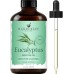 Handcraft Blends Eucalyptus Essential Oil - Huge 4 Fl Oz - 100% Pure and Natural - Premium Grade Essential Oil for Diffuser and Aromatherapy